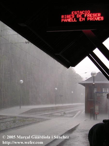 Esperant els trens que ens tornarien a casa. Malgrat el diluvi els trens, van arribar. Interessant el panell informatiu...