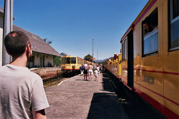 05-trengroc-1.jpg